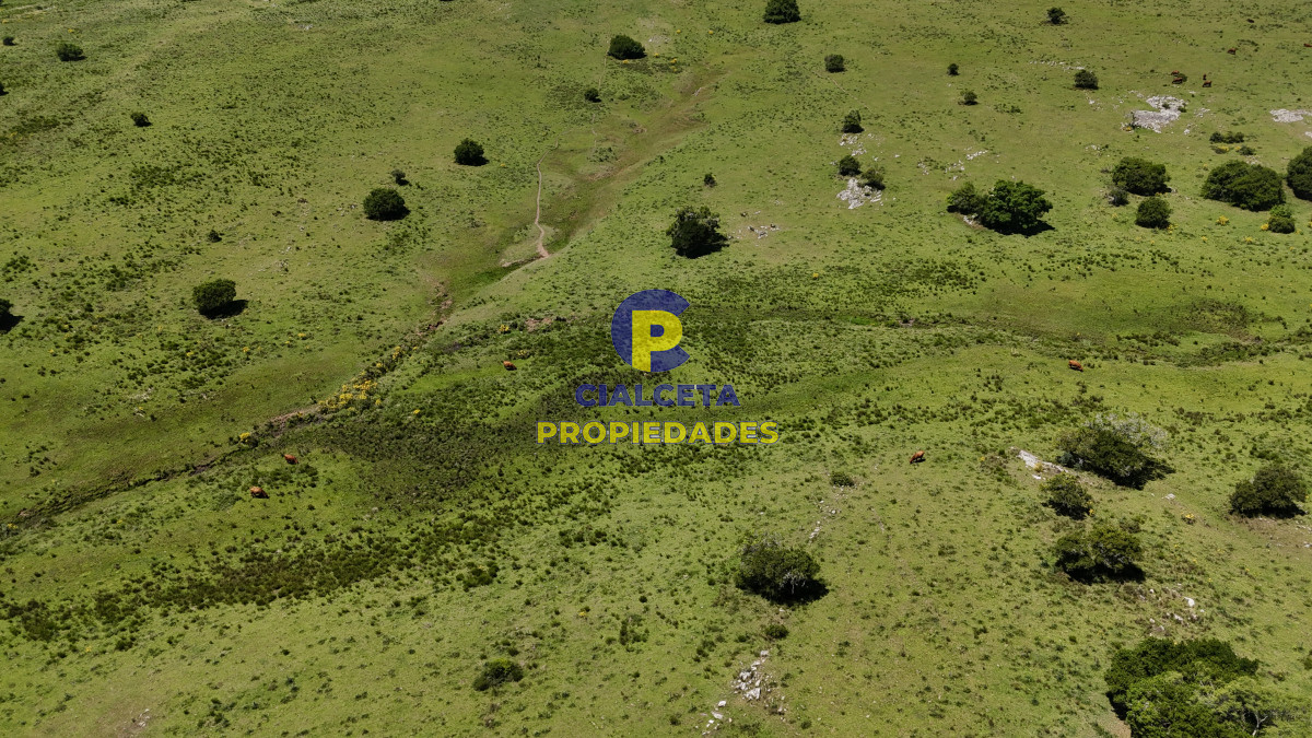 109 hectáreas en Maldonado - GoPunta - Portal Inmobiliario de Punta del Este - Maldonado