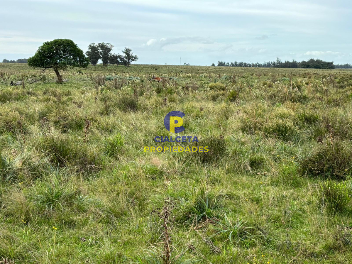 Campo Ref.418 - 50 hectáreas sobre ruta 9