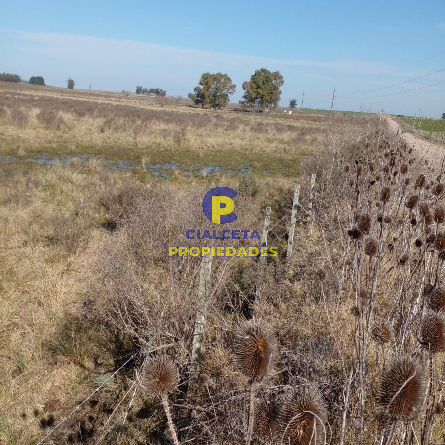 Campo Ref.97 - 130 hectáreas en Canelones