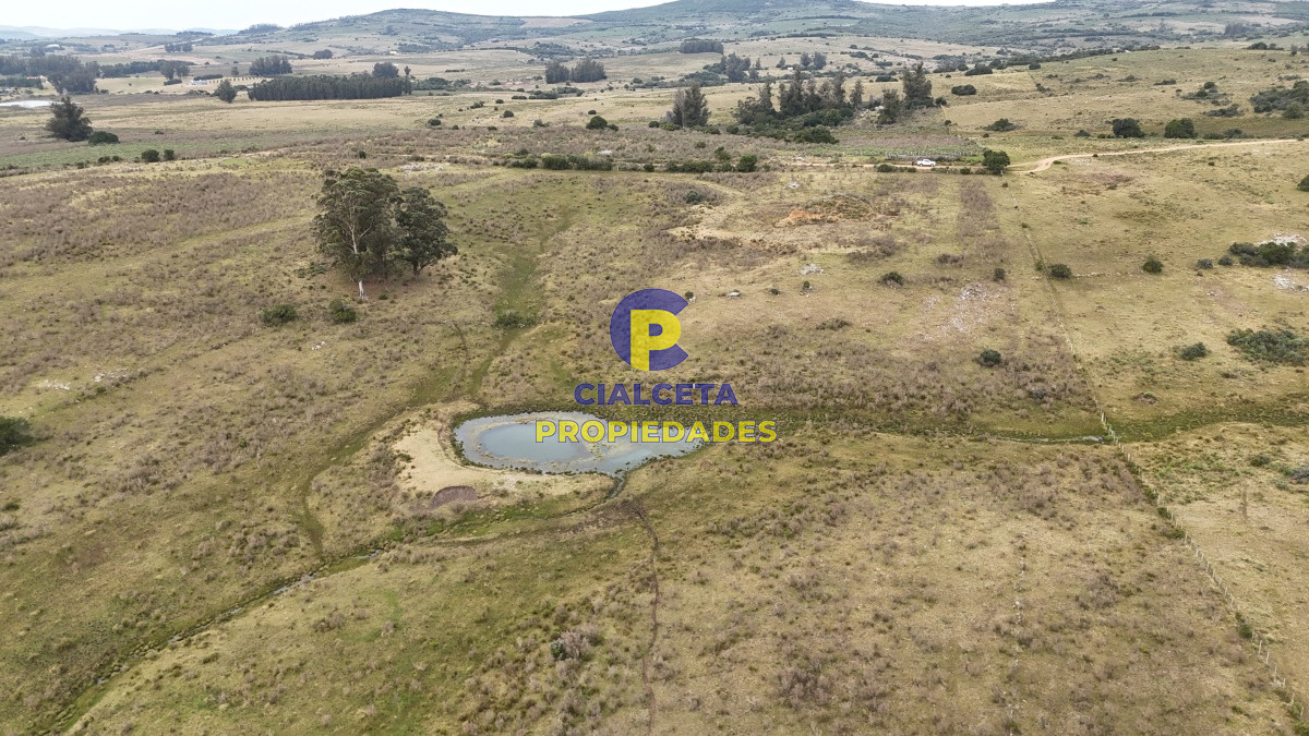 Campo Ref.490 - 267 hectáreas en Maldonado