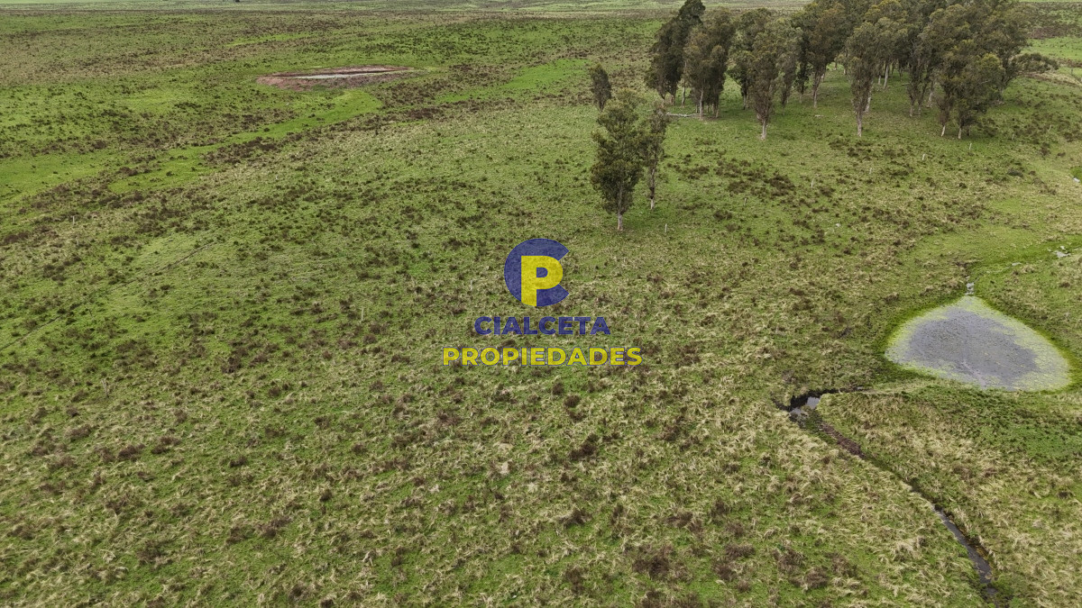 Campo Ref.538 - 68 hectáreas y media en Valle Fuentes con 200 de coneat