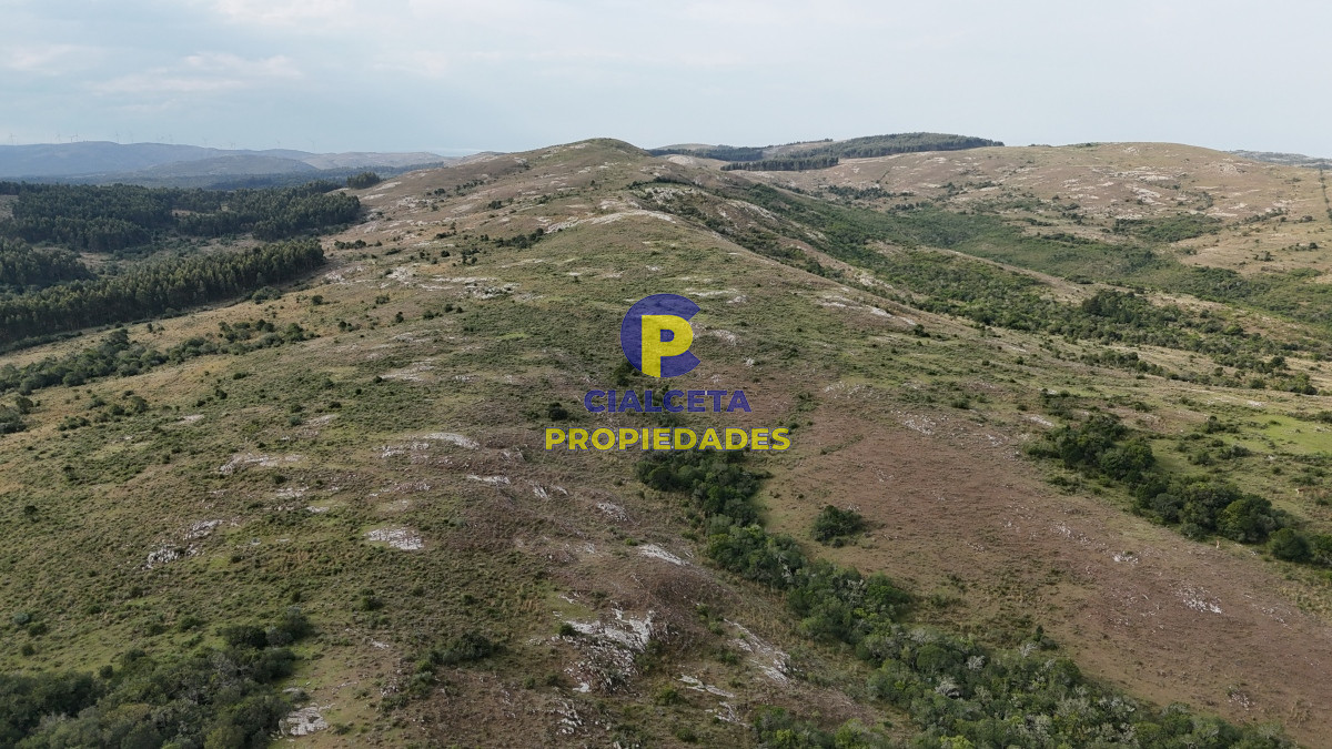 Campo Ref.441 - 200 hectáreas con muy buena vista