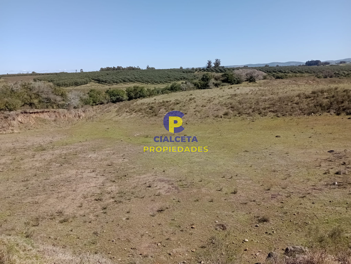 Campo Ref.307 - 16 hectáreas en Maldonado