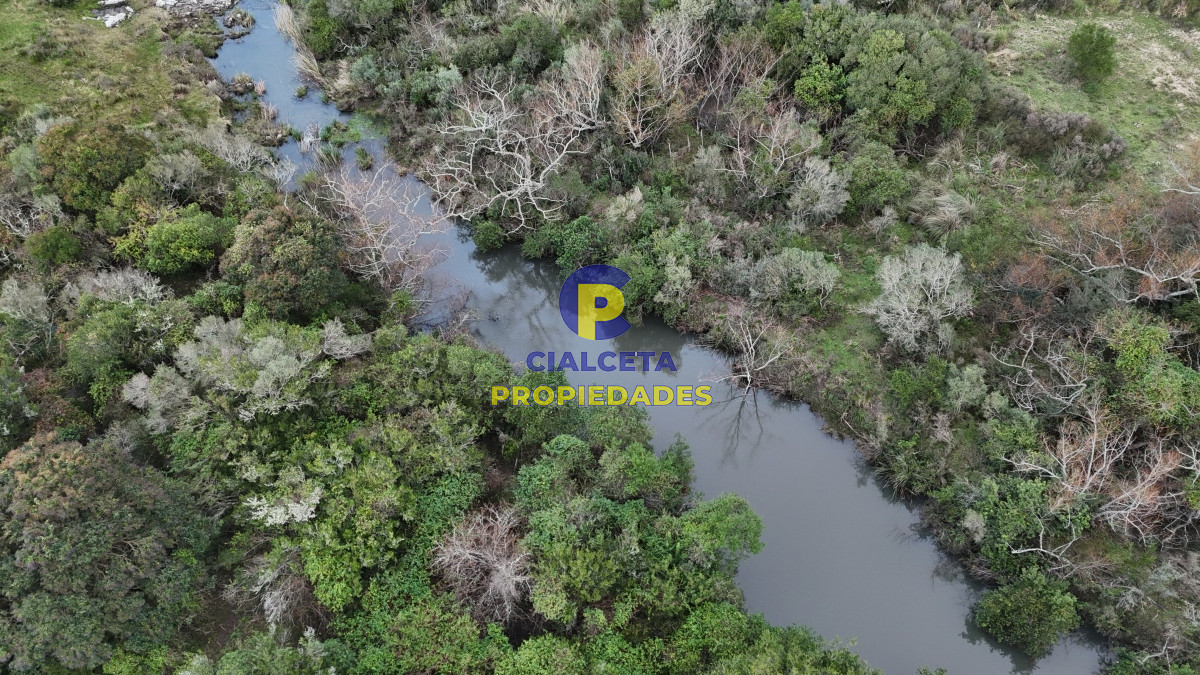 Campo Ref.461 - 60 hectáreas con arroyo y cañada en Maldonado