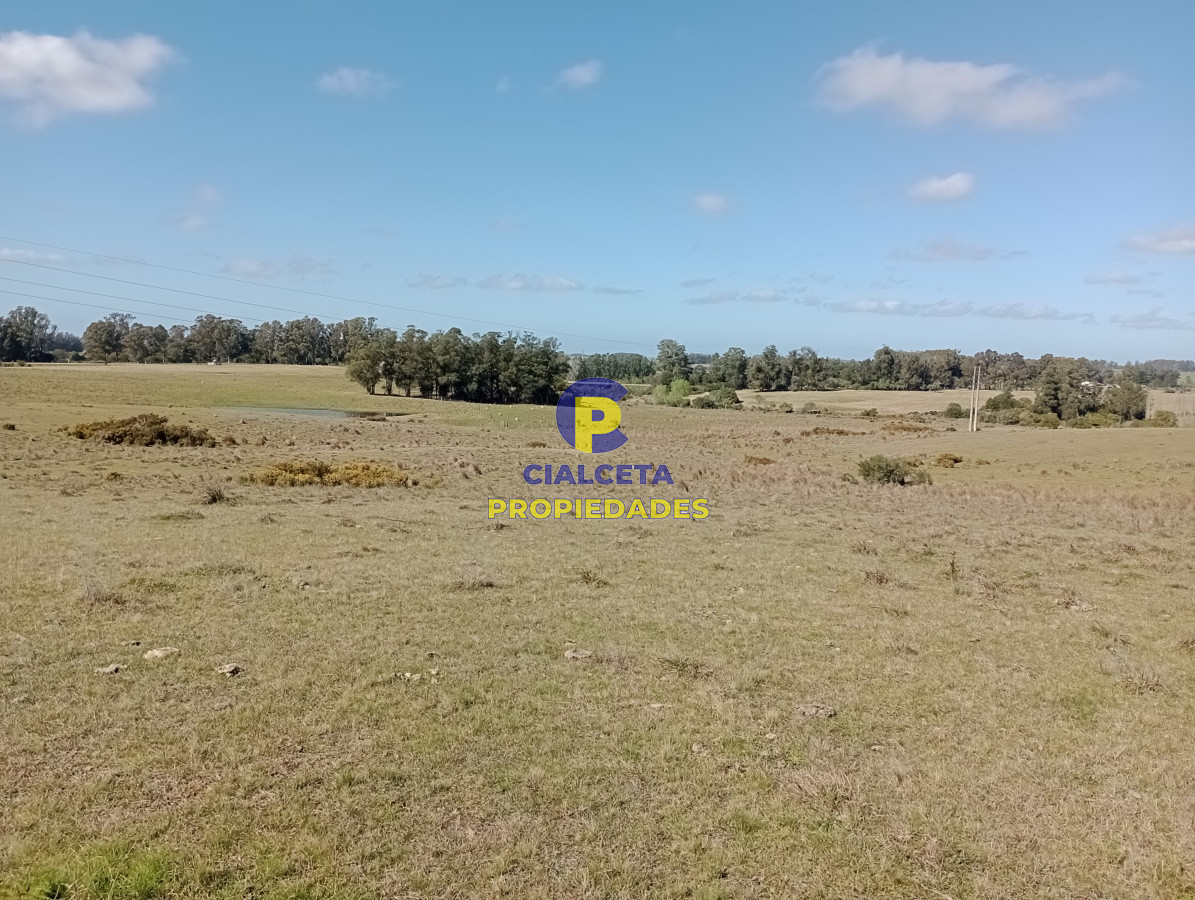 Campo Ref.98 - 125 hectáreas en Rocha