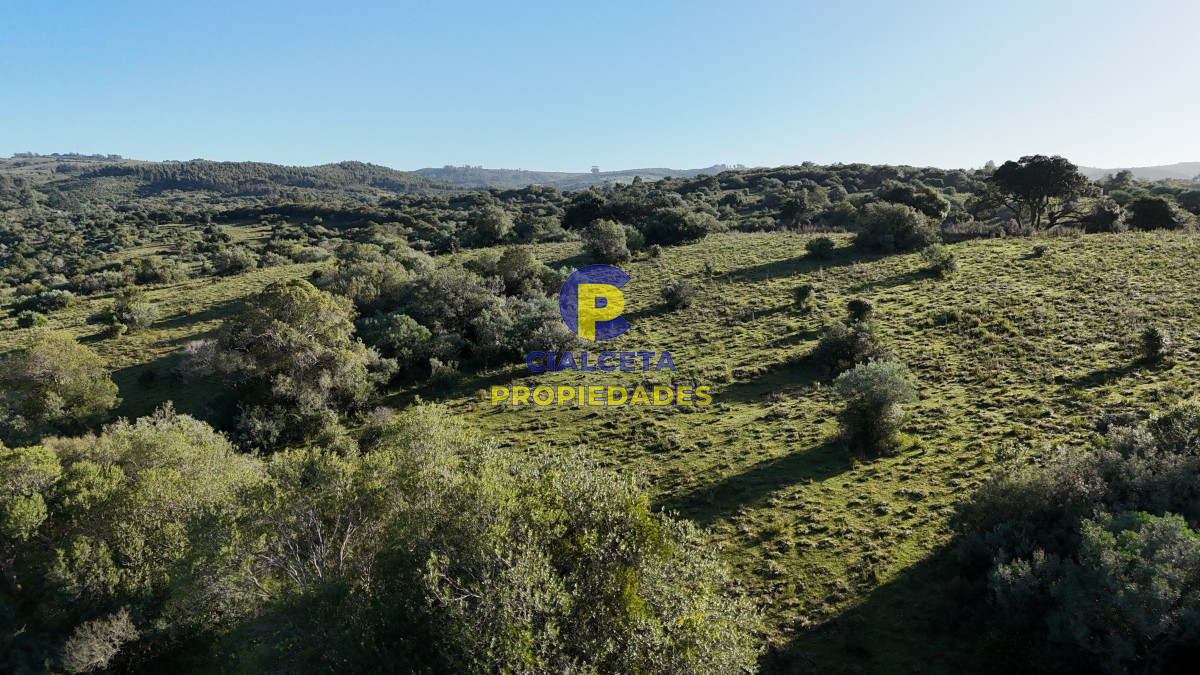 28 hectáreas con cañada y monte nativo, Maldonado - GoPunta - Portal Inmobiliario de Punta del Este - Maldonado