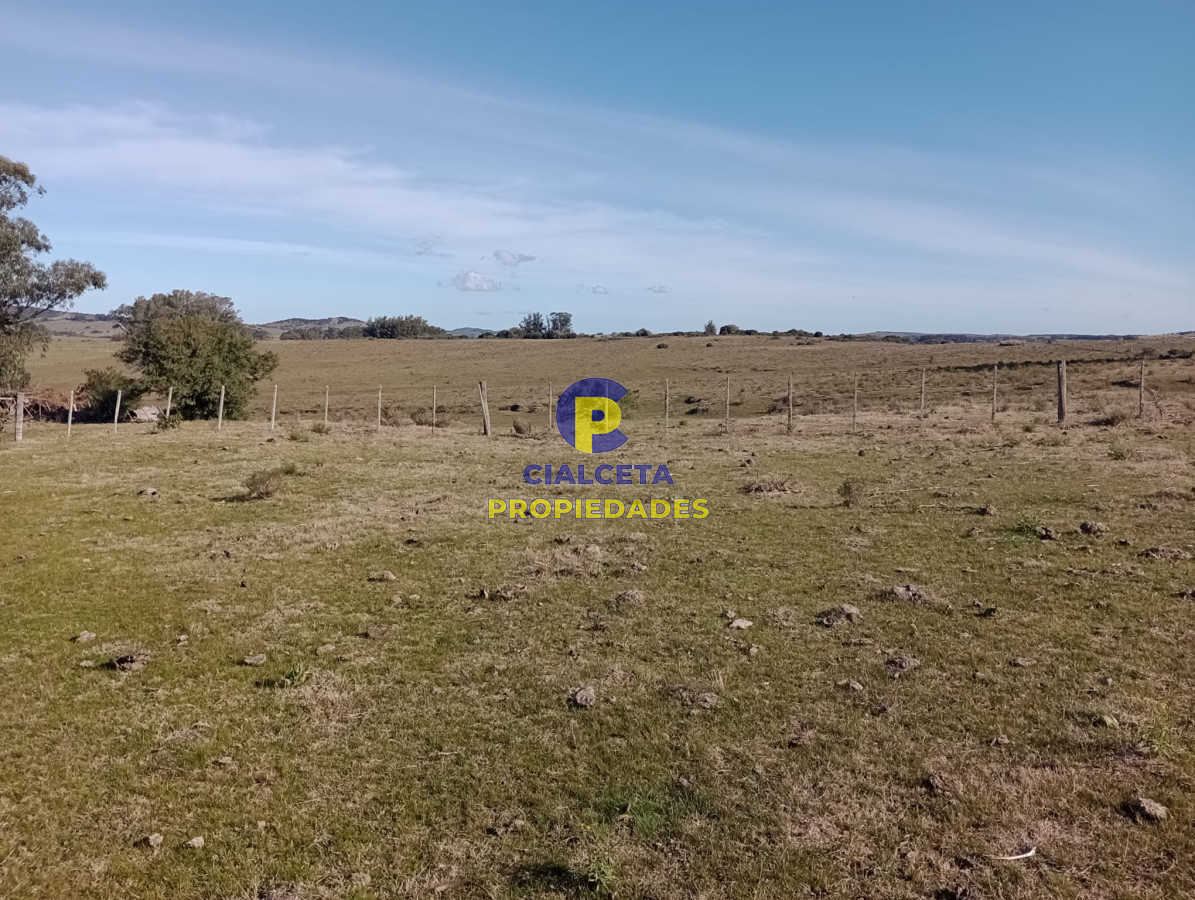Campo Ref.298 - 82 hectáreas en Pueblo Edén