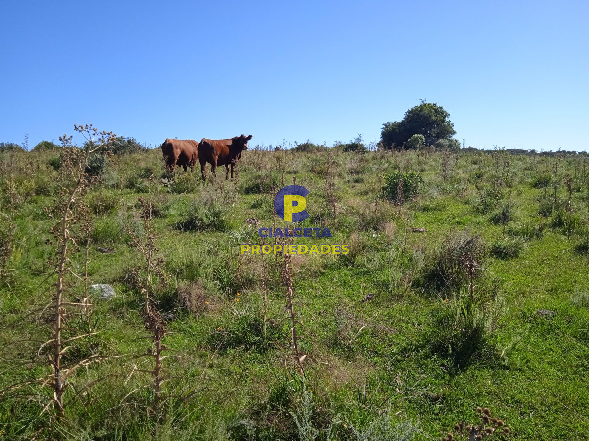 Campo Ref.127 - 35 hectáreas en Maldonado