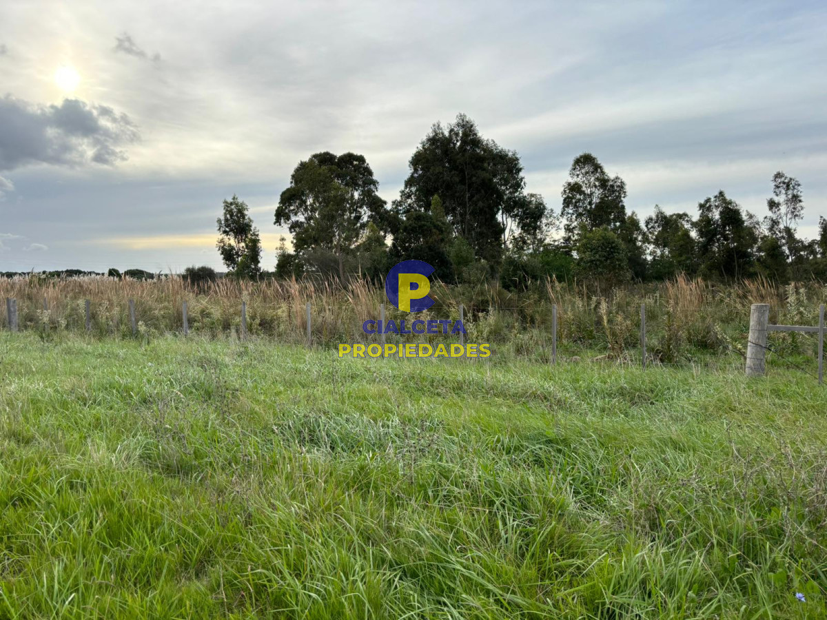 Campo Ref.418 - 50 hectáreas sobre ruta 9