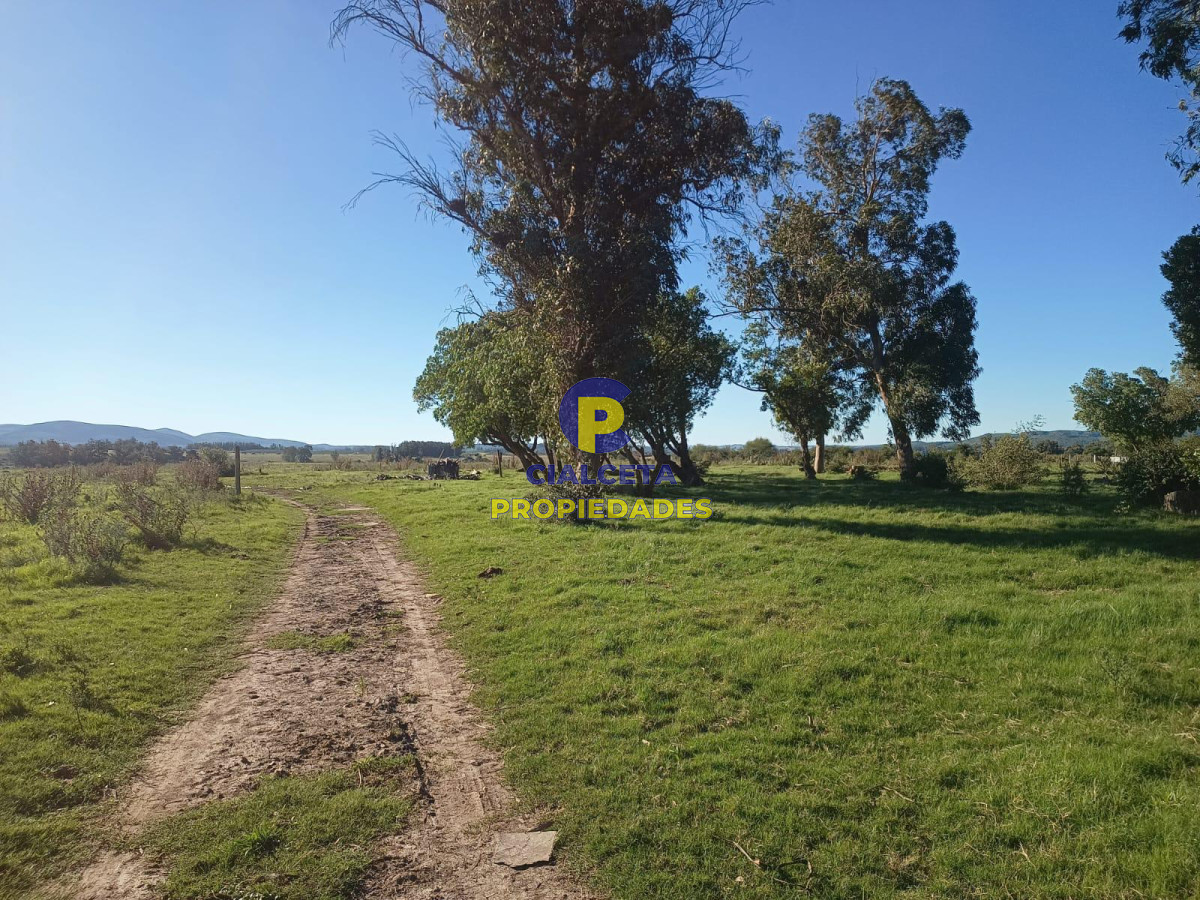 Campo Ref.429 - 32 hectáreas con represa y galpones