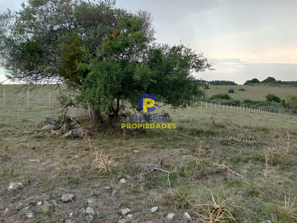 Campo Ref.183 - Chacras de 5 hectáreas