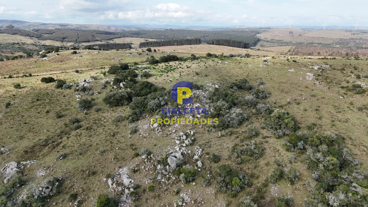 Campo Ref.510 - 95 hectáreas en Maldonado con cañada