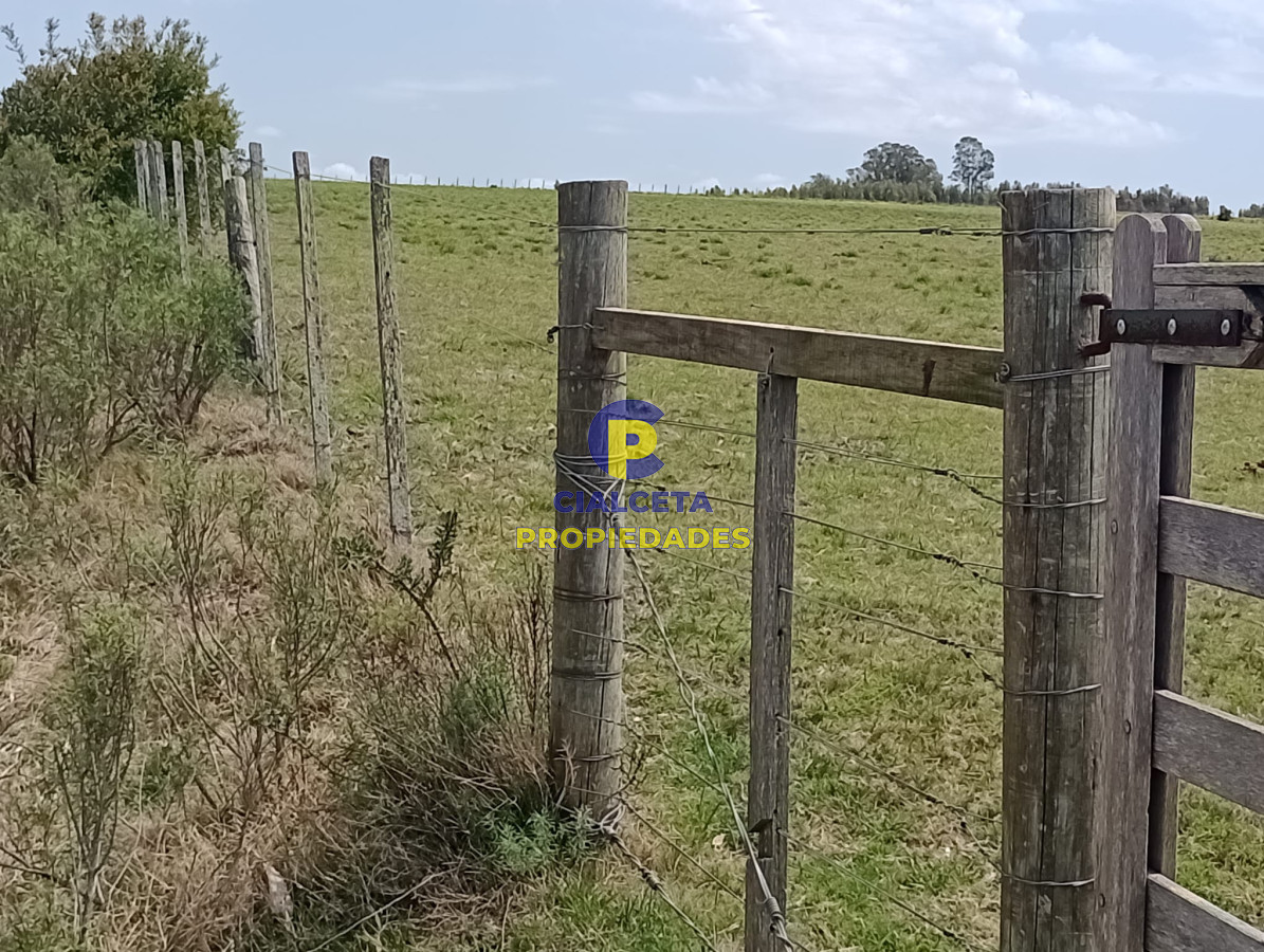 Campo Ref.315 - 28 hectáreas y media en Maldonado
