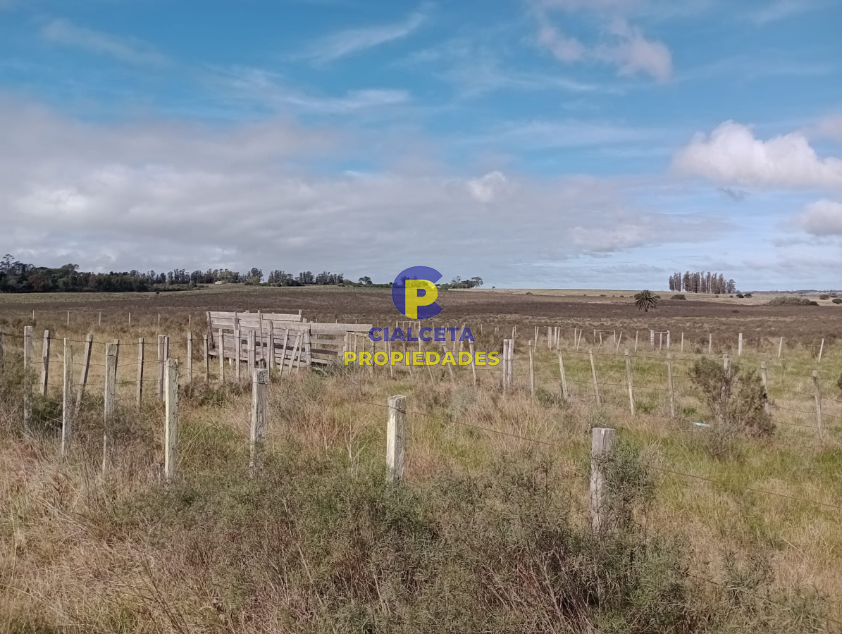 Campo Ref.280 - 102 hectáreas en Canelones