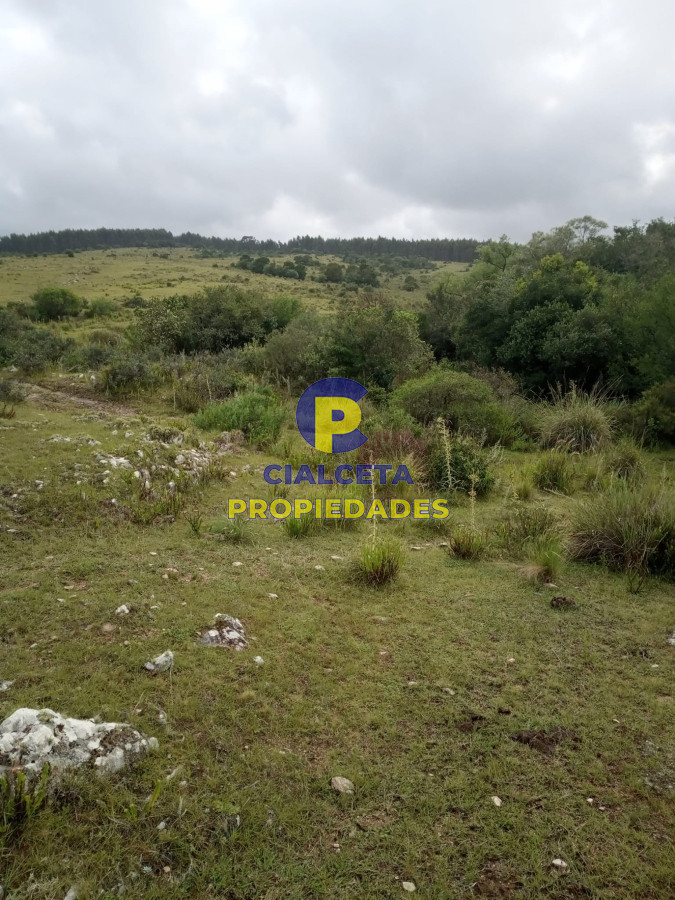 Campo Ref.452 - 108 hectáreas a 12 km de Garzón