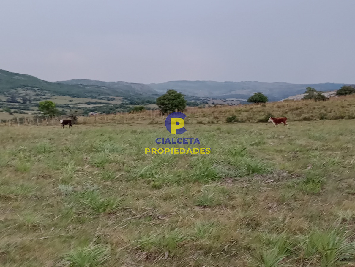 Campo Ref.183 - Chacras de 5 hectáreas