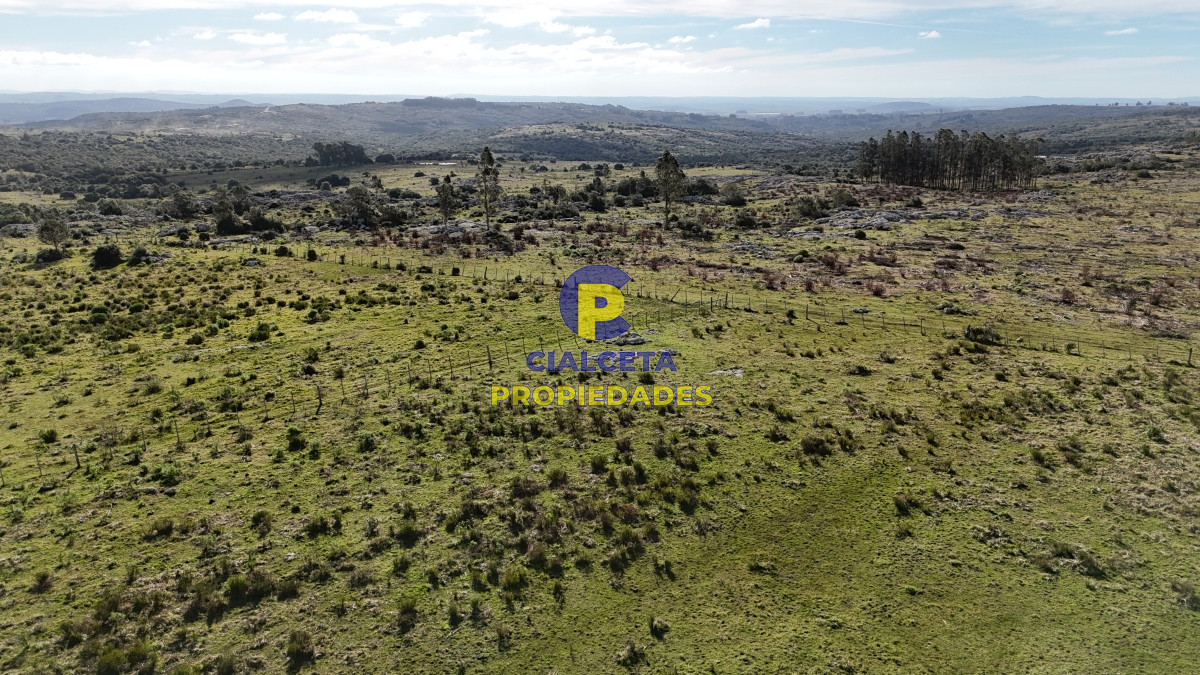 Campo Ref.465 - 24 hectáreas en Lavalleja, a 6 km de Villa Serrana