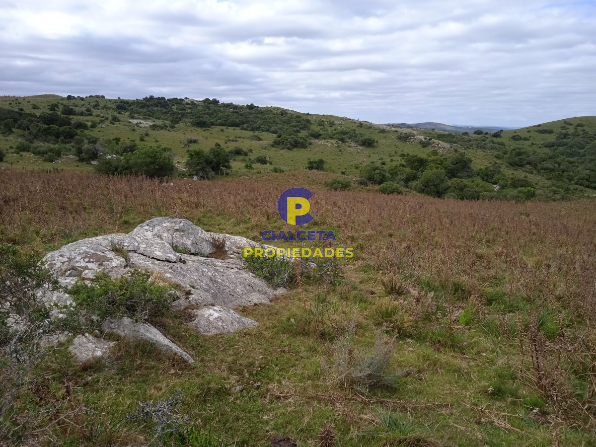 Campo Ref.130 - 29 hectáreas en maldonado