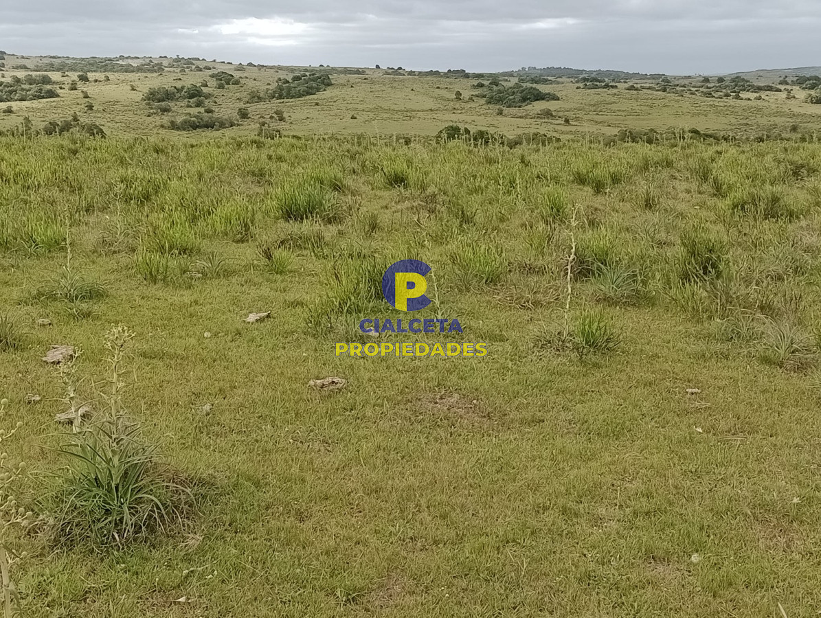 Campo Ref.358 - 198 hectáreas en Garzón