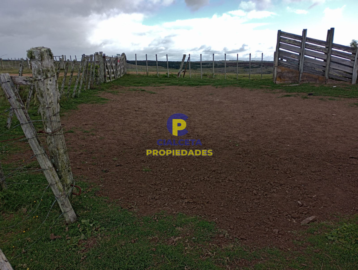Campo Ref.175 - 140 hectáreas en Lavalleja