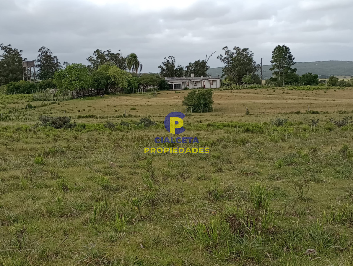 Campo Ref.358 - 198 hectáreas en Garzón