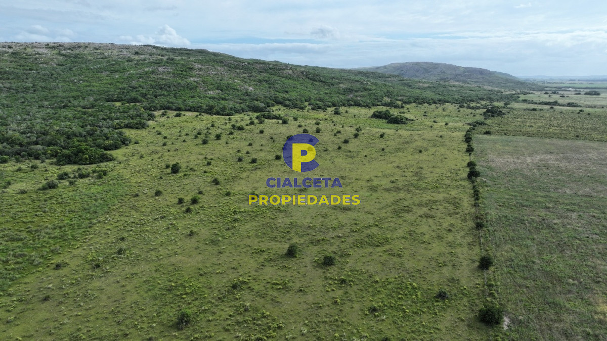 Campo Ref.400 - 61 hectáreas en Maldonado