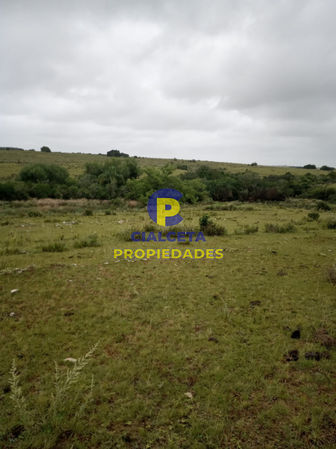 108 hectáreas a 12 km de Garzón - GoPunta - Portal Inmobiliario de Punta del Este - Maldonado
