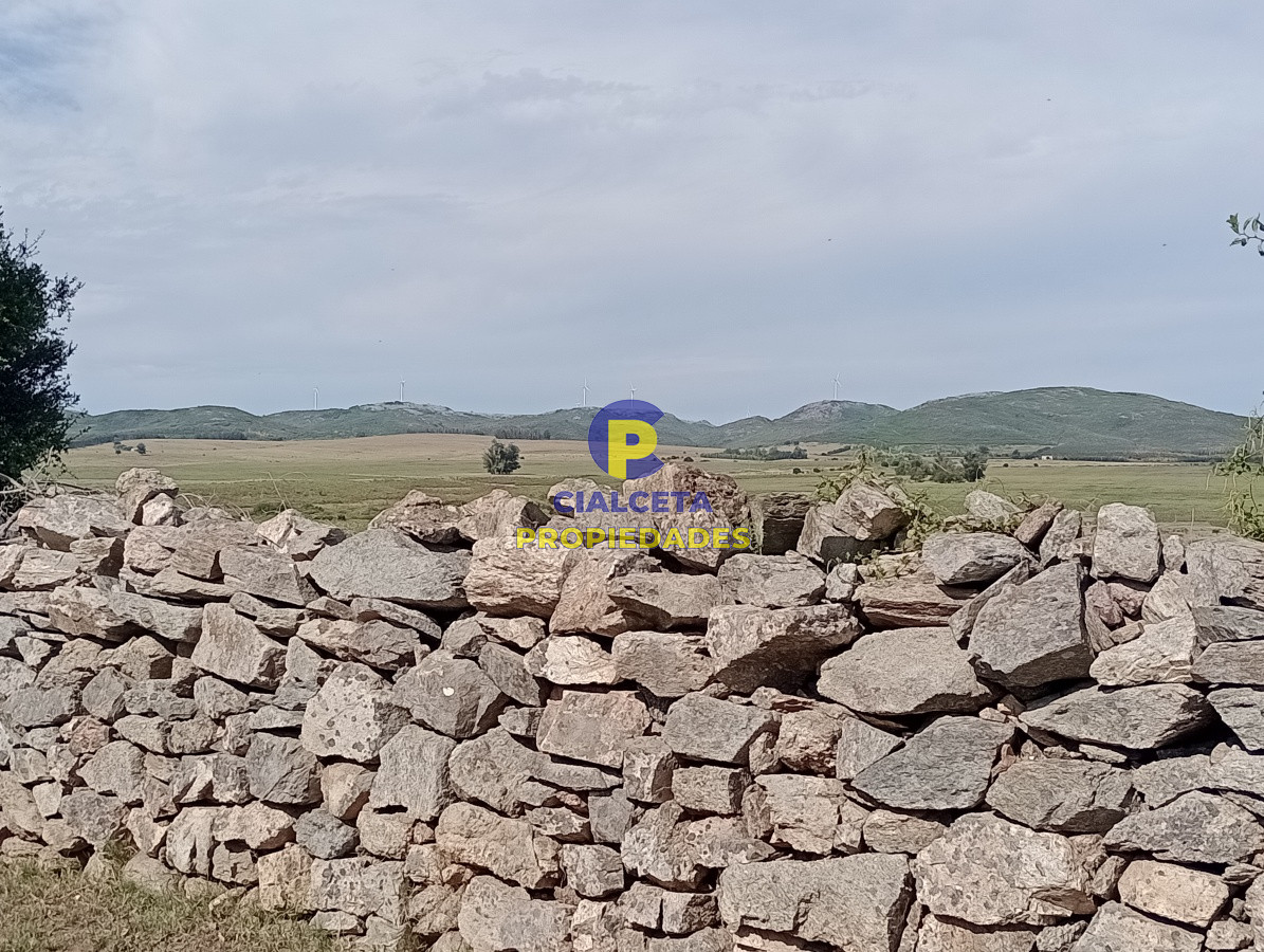Campo Ref.79 - 170 hectáreas en lavalleja