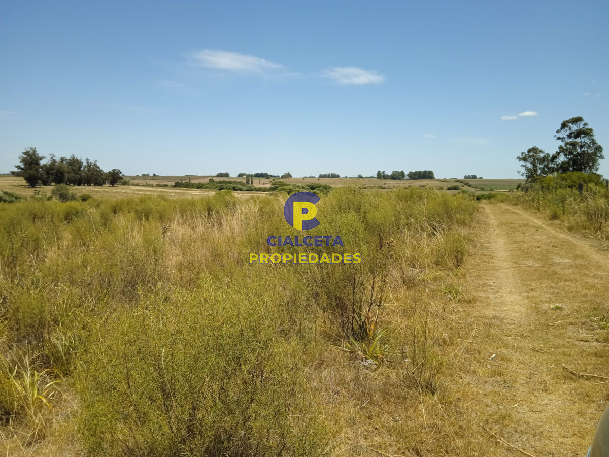 Campo Ref.273 - 23 hectáreas en Lavalleja con arroyo