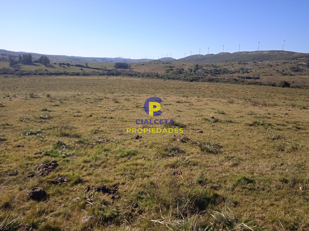 Campo Ref.123 - 60 hectáreas en Carapé