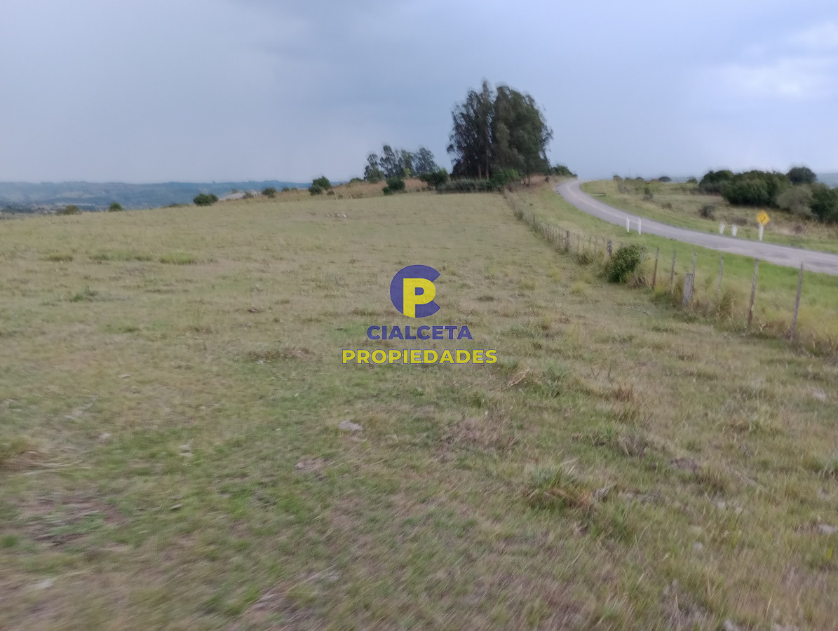 Campo Ref.183 - Chacras de 5 hectáreas