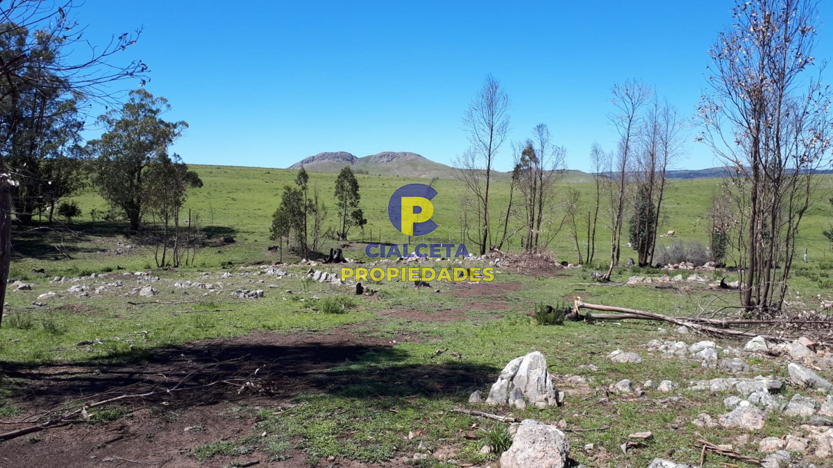Campo Ref.325 - 298 hectáreas en Lavalleja