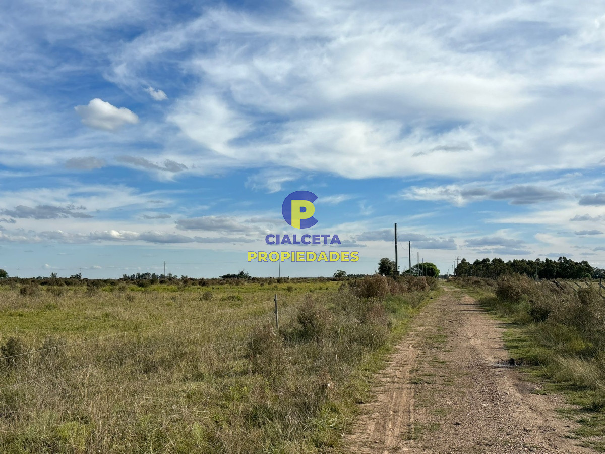 Campo Ref.437 - 15 hectáreas de buena tierra