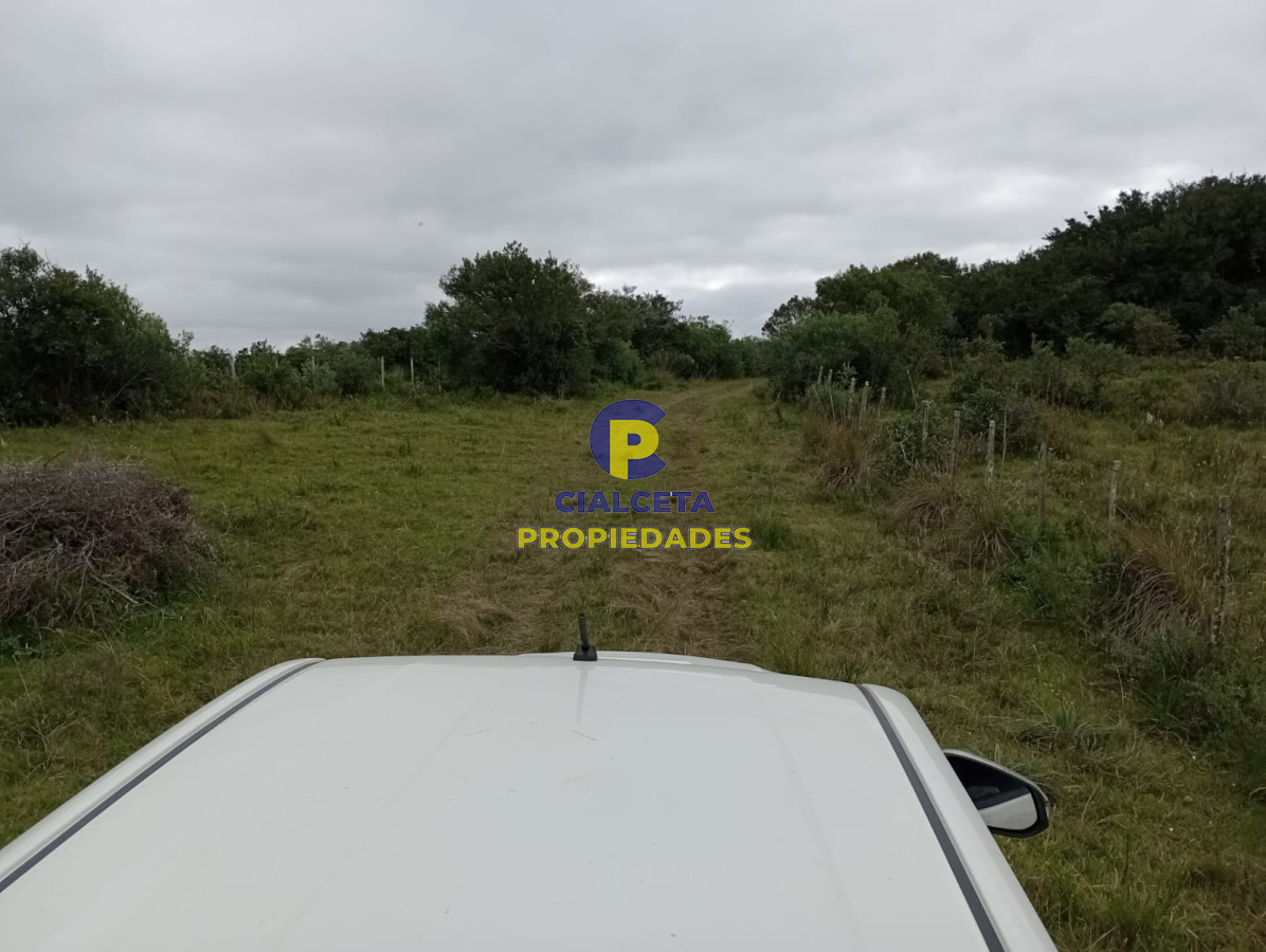 Campo Ref.195 - 48 hectáreas con 8 mil metros en Garzón