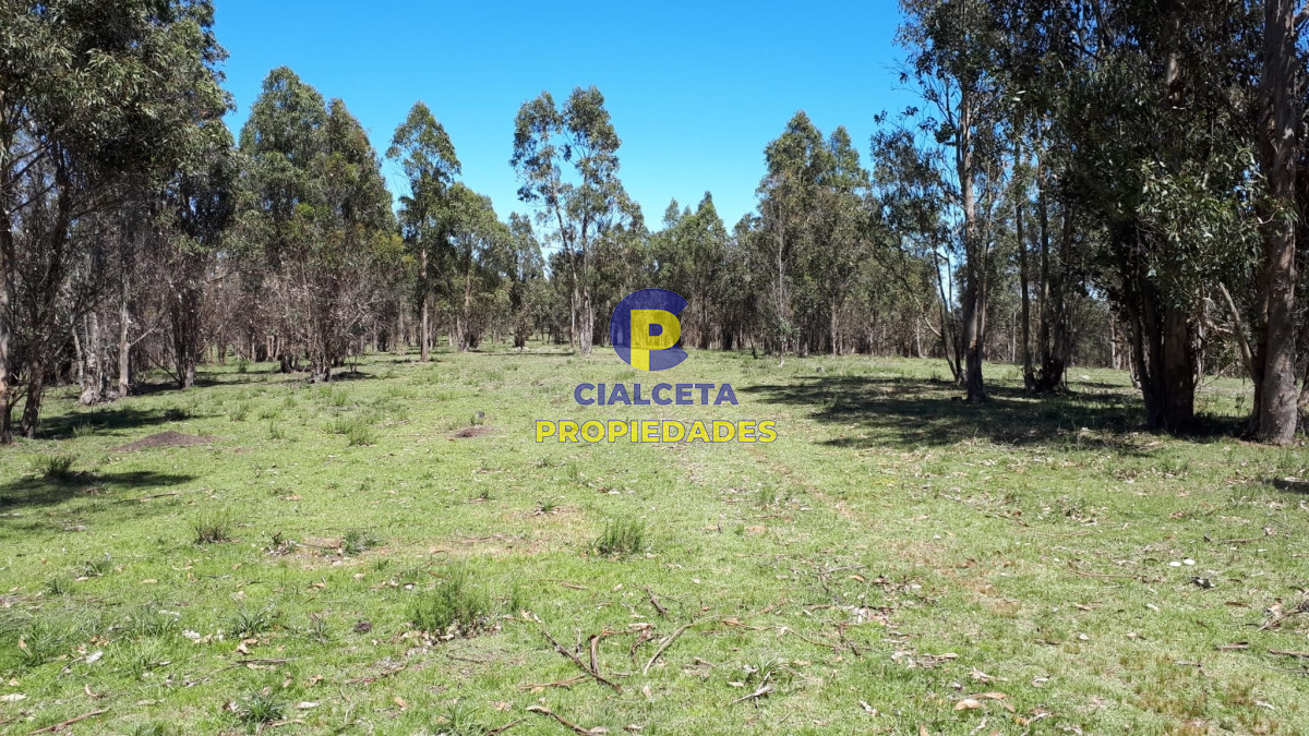 Campo Ref.325 - 298 hectáreas en Lavalleja