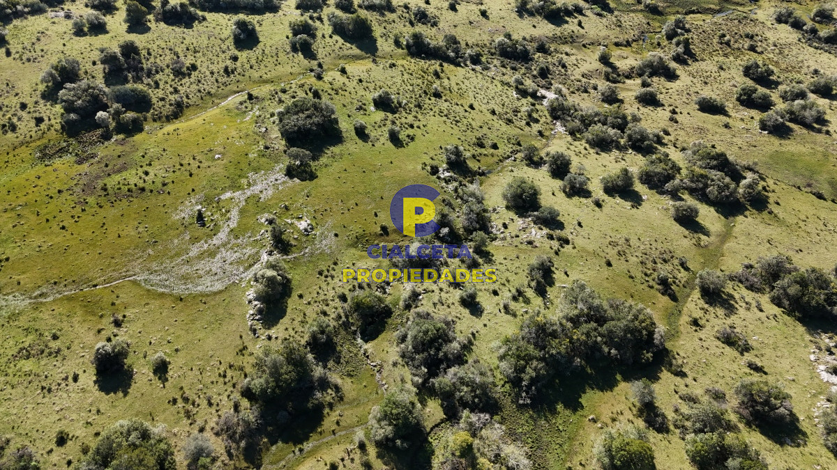 Campo Ref.511 - 29 hectáreas en Lavalleja
