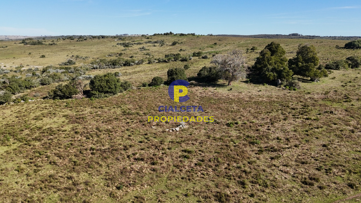 Campo Ref.511 - 29 hectáreas en Lavalleja