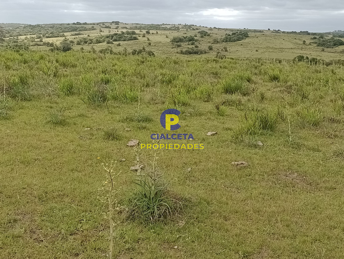 Campo Ref.358 - 198 hectáreas en Garzón