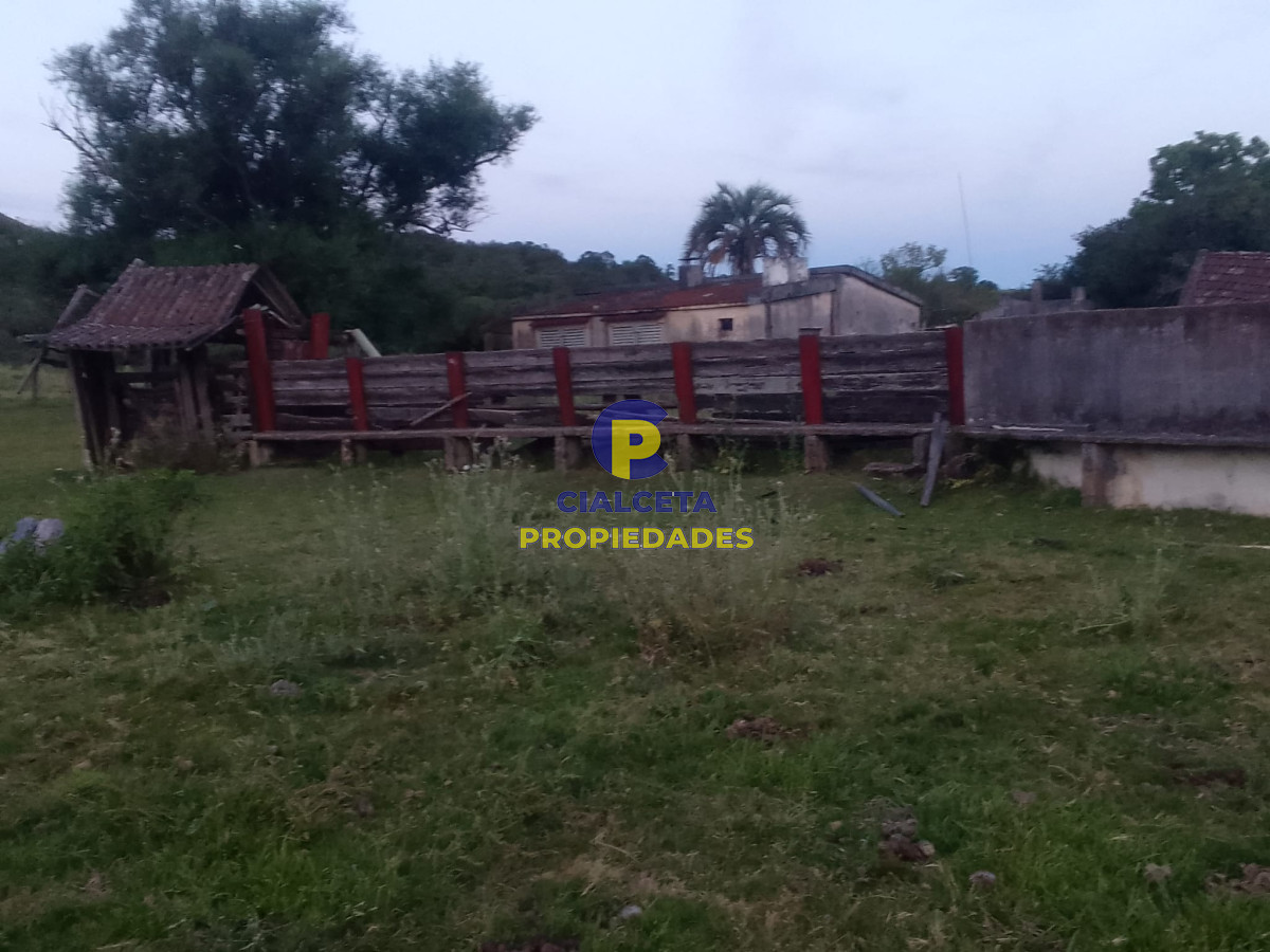 Campo Ref.89 - 330 hectáreas en Lavalleja