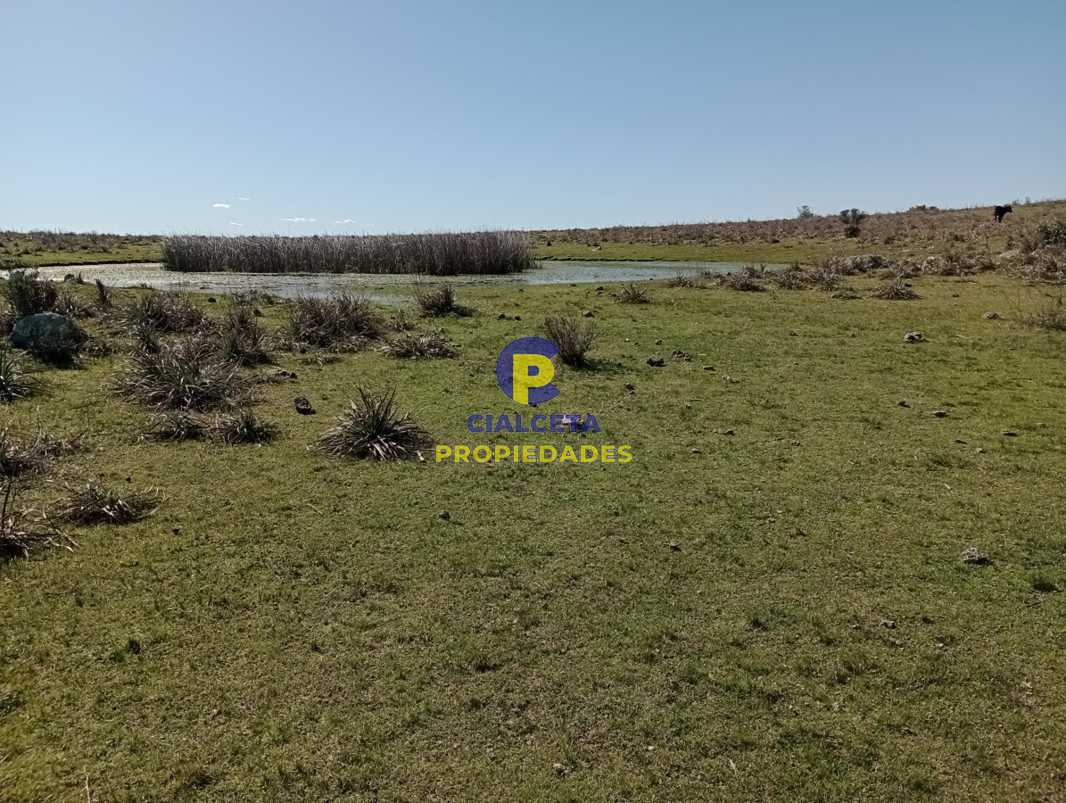 Campo Ref.135 - 2957 hectáreas en Cerro Largo