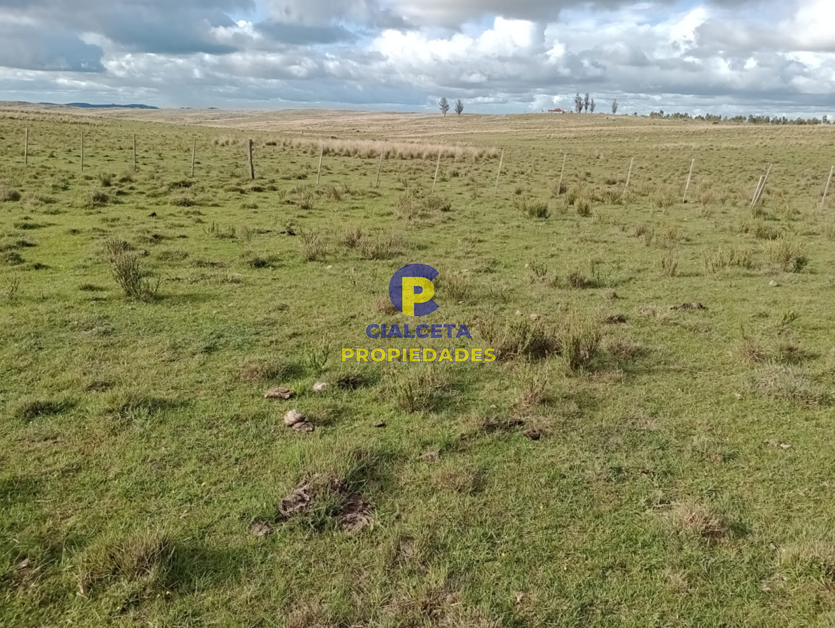 Campo Ref.175 - 140 hectáreas en Lavalleja