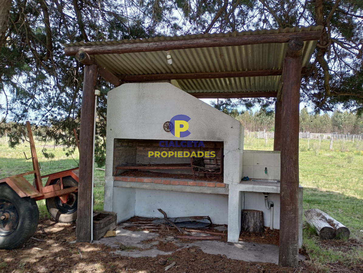 Campo Ref.313 - 73 hectáreas en Canelones