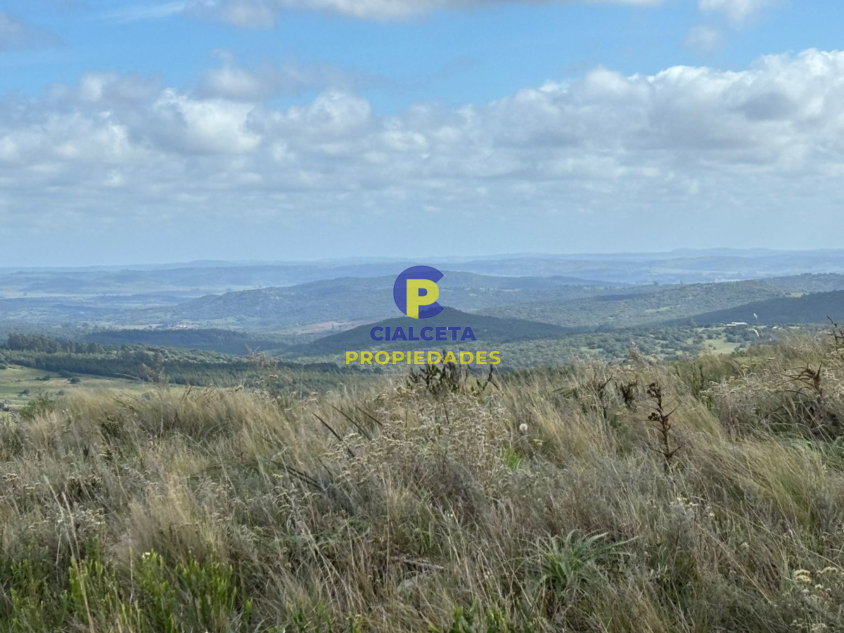 96 hectáreas en Maldonado, excelentes vistas - GoPunta - Portal Inmobiliario de Punta del Este - Maldonado