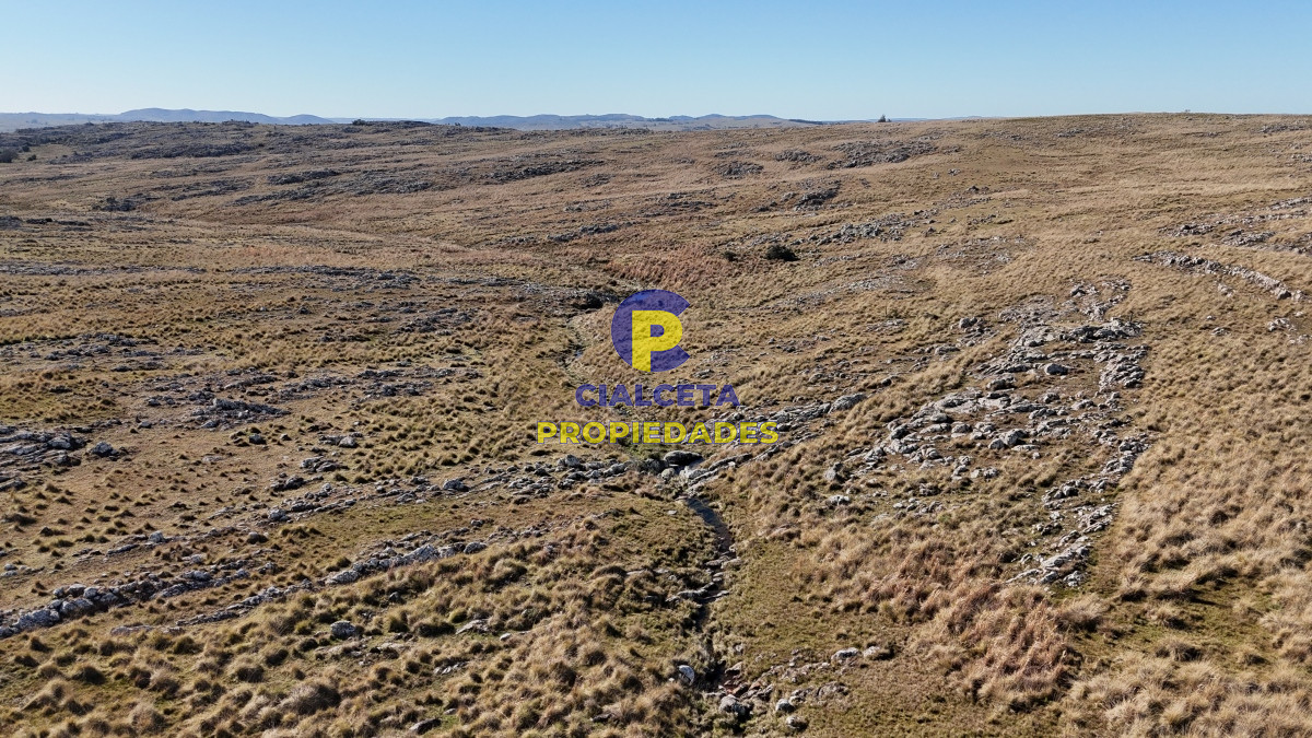 Campo Ref.494 - 140 hectáreas a 3.000 dólares la hectárea