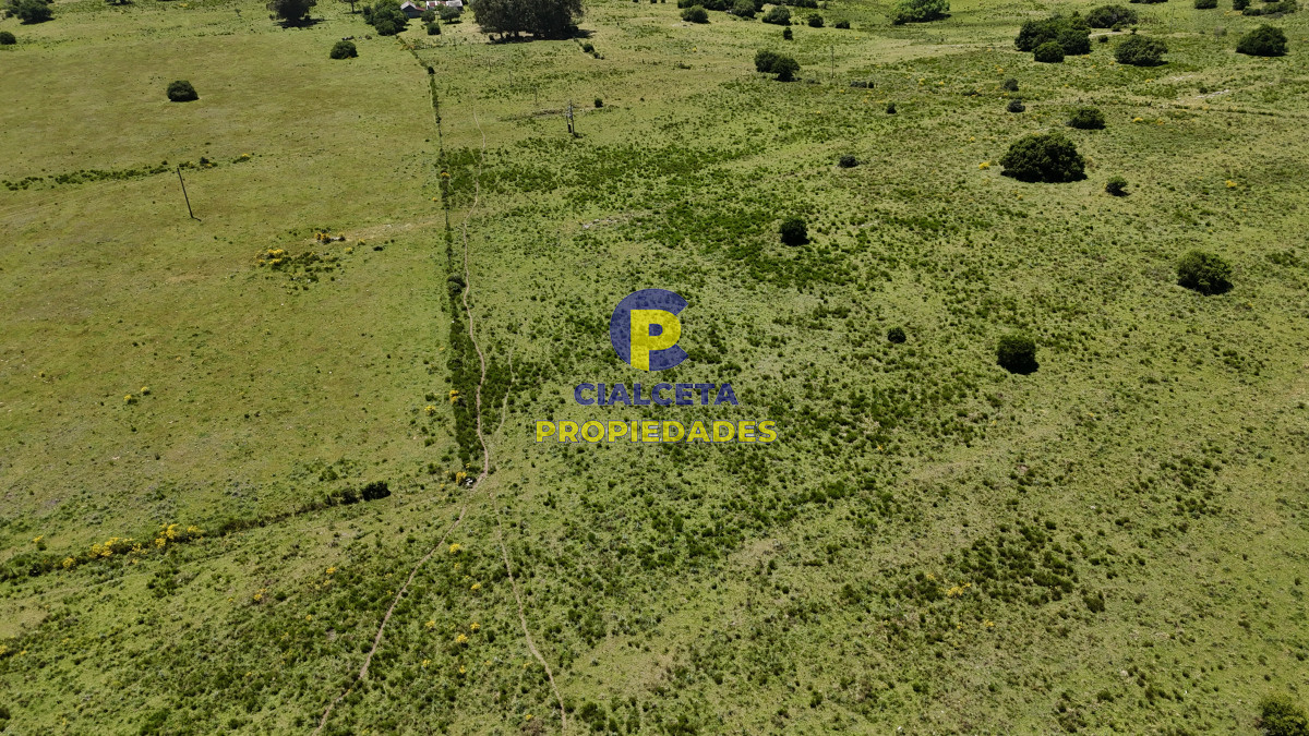 Campo Ref.554 - 109 hectáreas en Maldonado