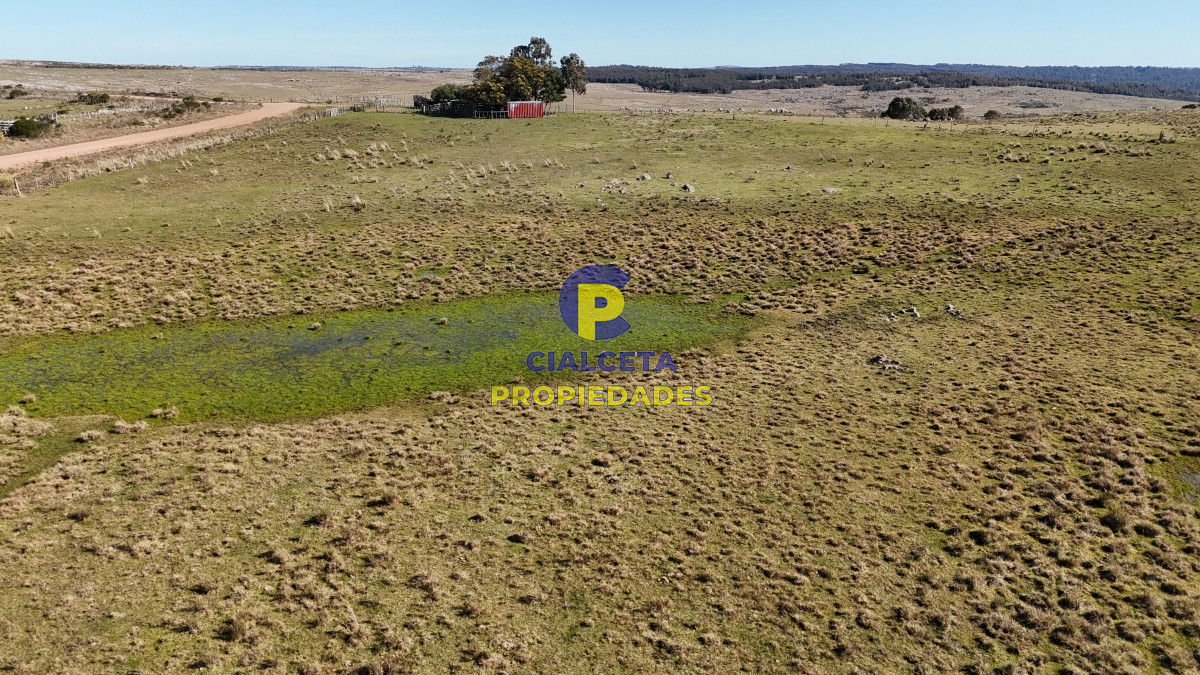 Campo Ref.494 - 140 hectáreas a 3.000 dólares la hectárea