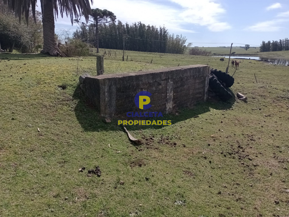 Campo Ref.295 - 22 hectáreas en lavalleja