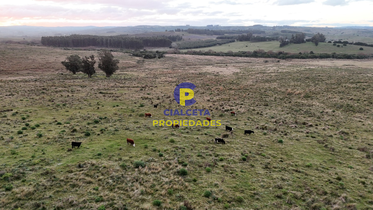 Campo Ref.461 - 60 hectáreas con arroyo y cañada en Maldonado