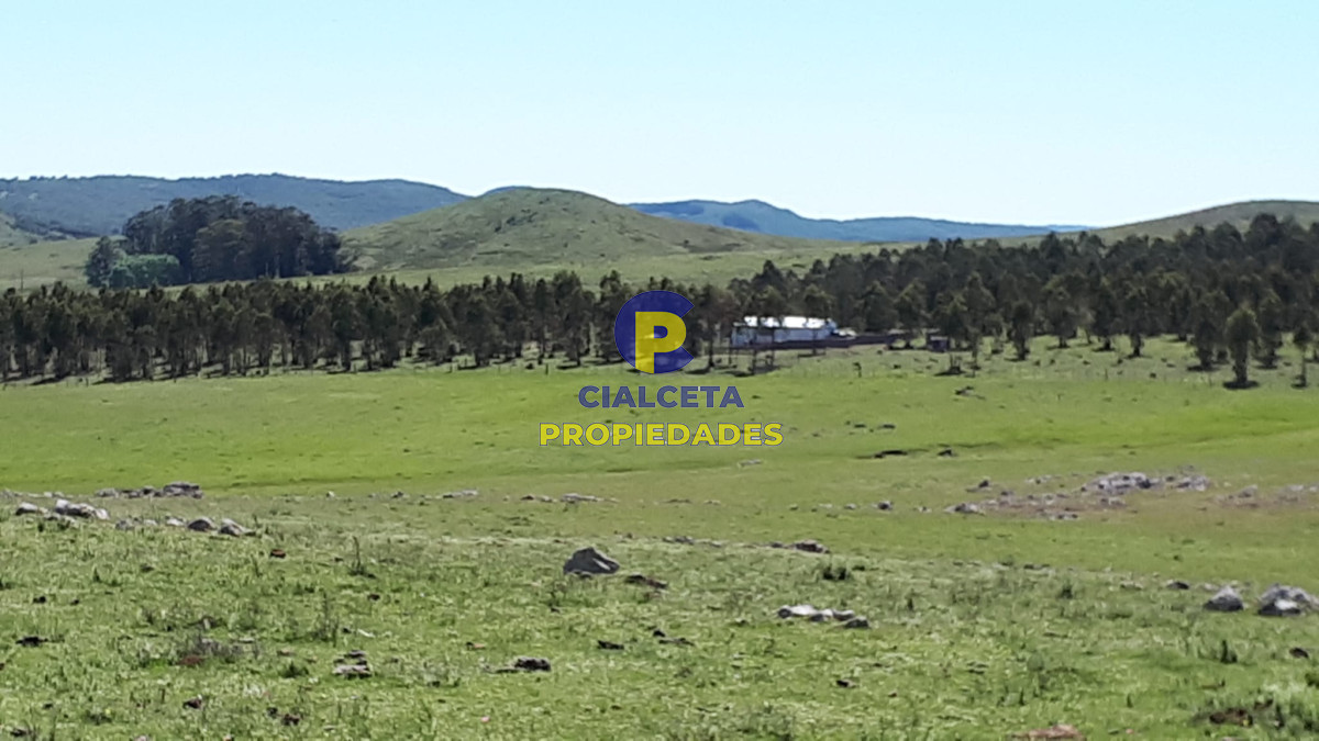 Campo Ref.322 - 100 hectáreas en Lavalleja