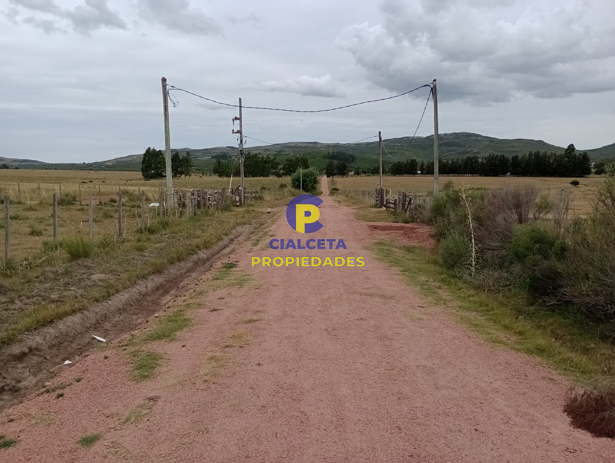 Campo Ref.111 - 5 hectáreas con olivos en Maldonado